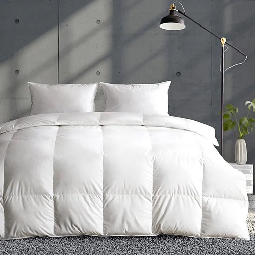 Goose Down Comforters & Duvet Inserts You'll Love